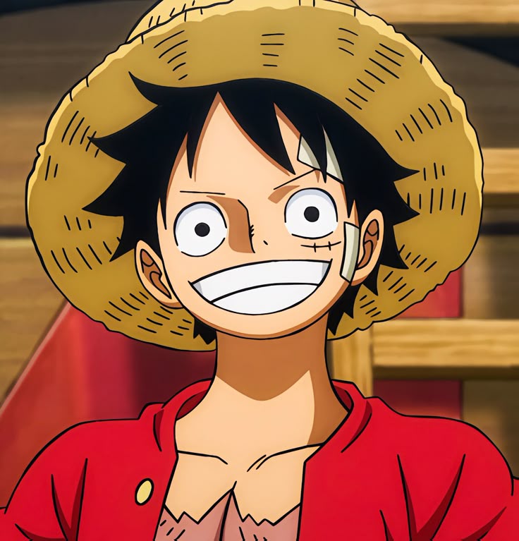 شخصیت های وان پیس
مانکی دی. لوفی (Monkey D. Luffy)